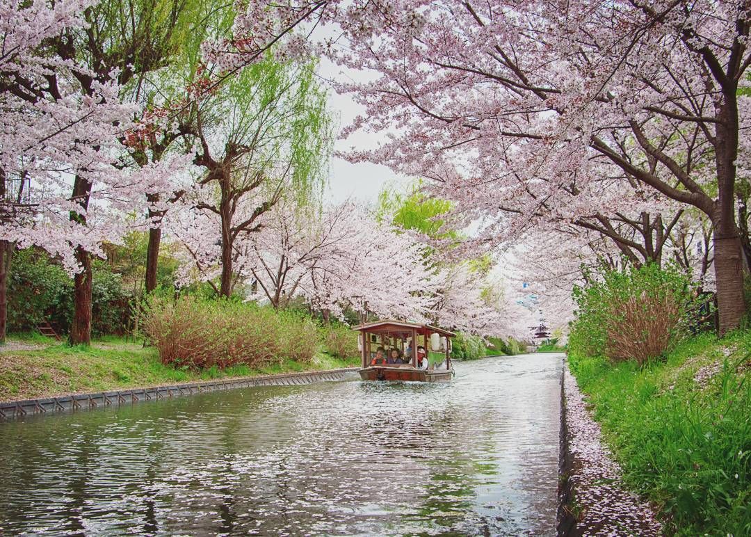 Fushimi Sake District