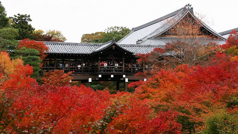 Tofukuji Temple