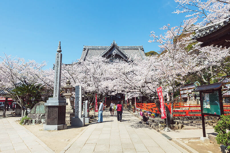  Kimiidera Temple - Wisata Jepang 5 Hari