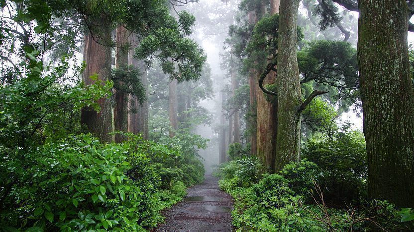 Old Tokaido Road