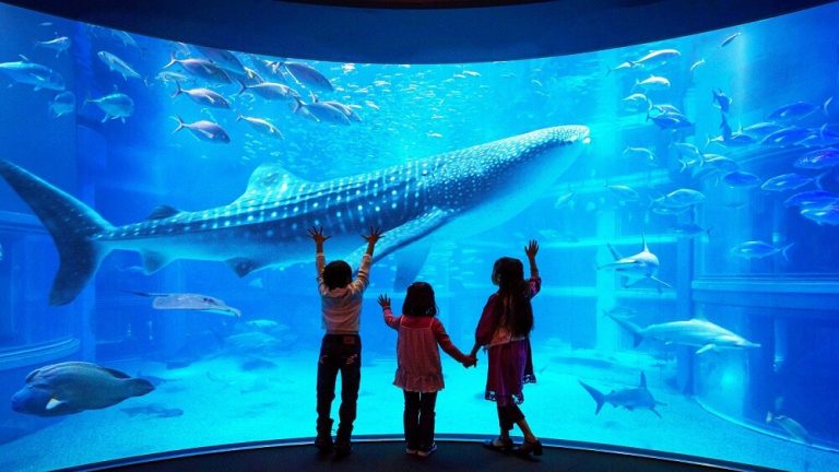 Traveling Ke Jepang Murah 2020 | Skyetour.id