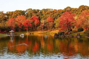 Traveling Ke Jepang Murah 2020 - Skyetour.id