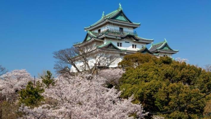 Wakayama Castle - Wisata Jepang 5 Hari