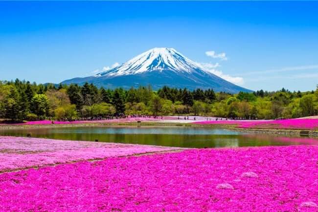 Muslim Tour ke Jepang 6 Hari 2022 - 2023