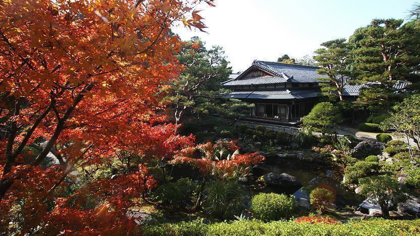 Yoshikien Garden - Wisata Jepang Murah 2020 Yoshikien Garden - Wisata Jepang Murah 2020