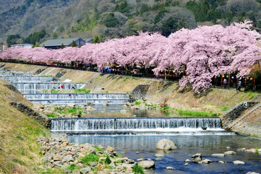 Tour Jepang Maret - Biaya Open Trip Paket Wisata Travel Liburan ke Jepang April 2023 Murah Termasuk Tiket Pesawat
