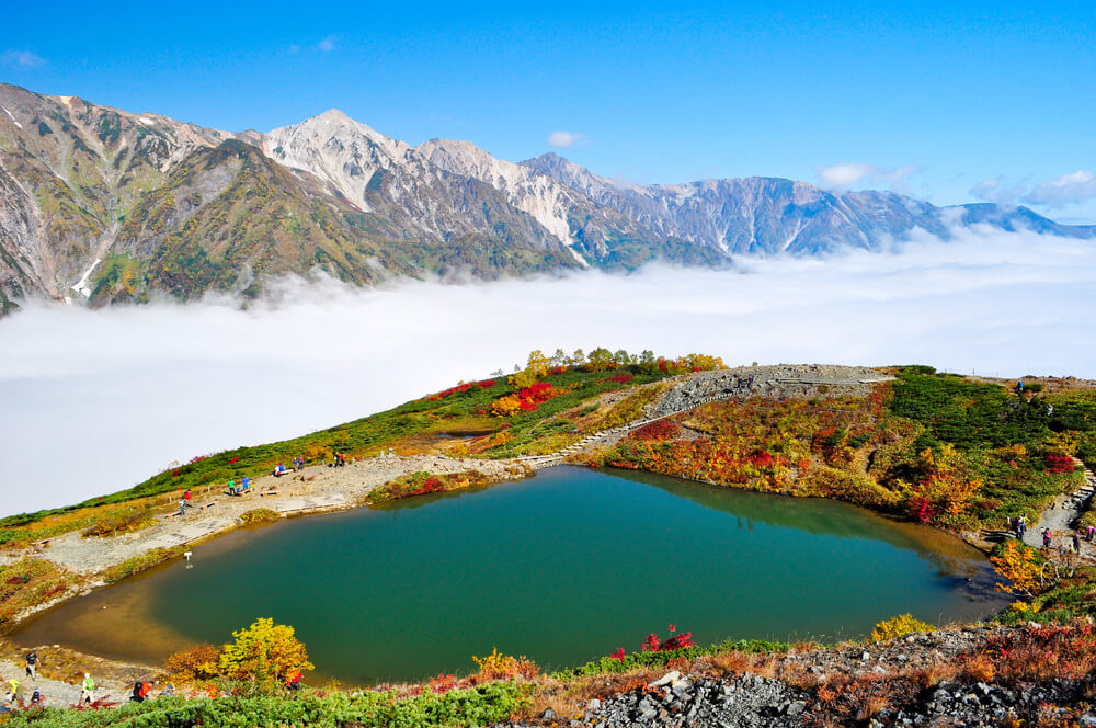 Tour Jepang Sakura Maret 2021