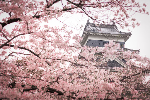 7D Sakura Amazing Sale Golden Route Japan + Shirakawago