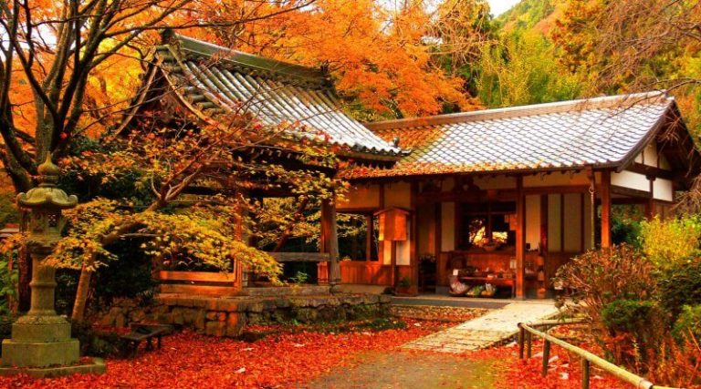 Paket Wisata Ke Jepang November 2021 Travel Ke Jepang Murah