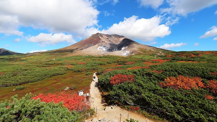 Private Tour Jepang November 2023