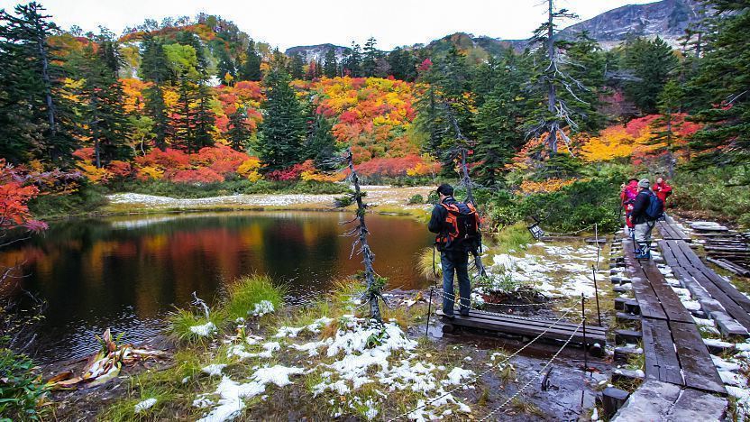 Paket Wisata ke Jepang 5 Hari Juni 2024 Murah