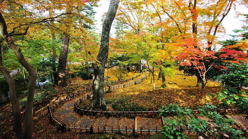 Paket Wisata ke Jepang 5 Hari Januari 2024 Murah | Skye Tour Paket Wisata ke Jepang 5 Hari Januari 2024 Murah