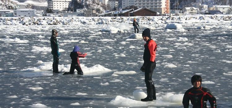 Paket Wisata ke Jepang 5 Hari Januari 2024 Murah