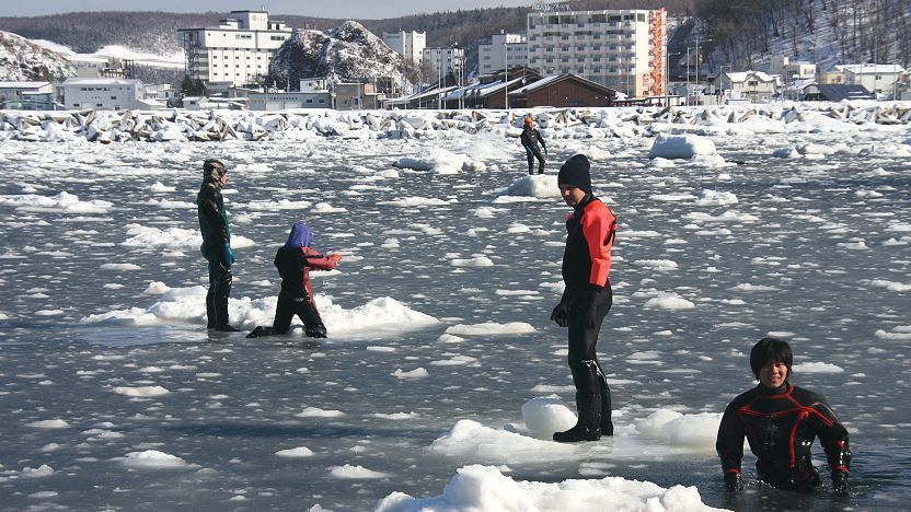 Paket Wisata ke Jepang 5 Hari Mei 2024 Murah