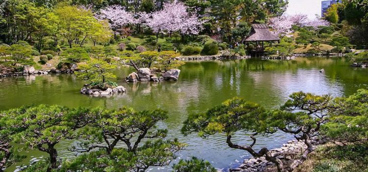 Paket Tour Jepang 7 Hari Mei 2024 Murah