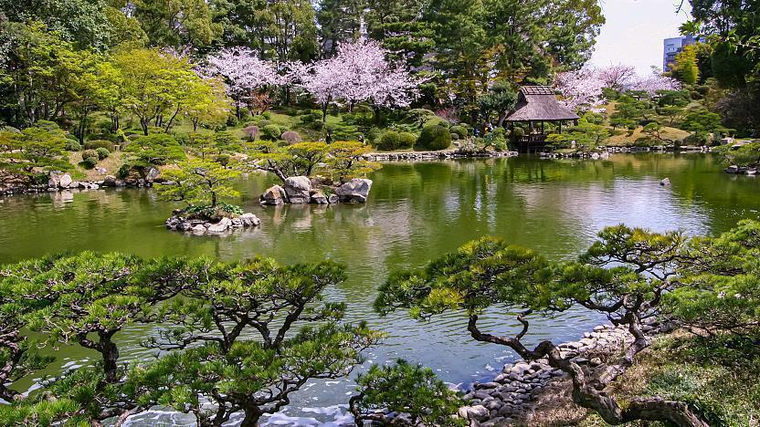 Paket Tour Jepang 7 Hari Mei 2024 Murah