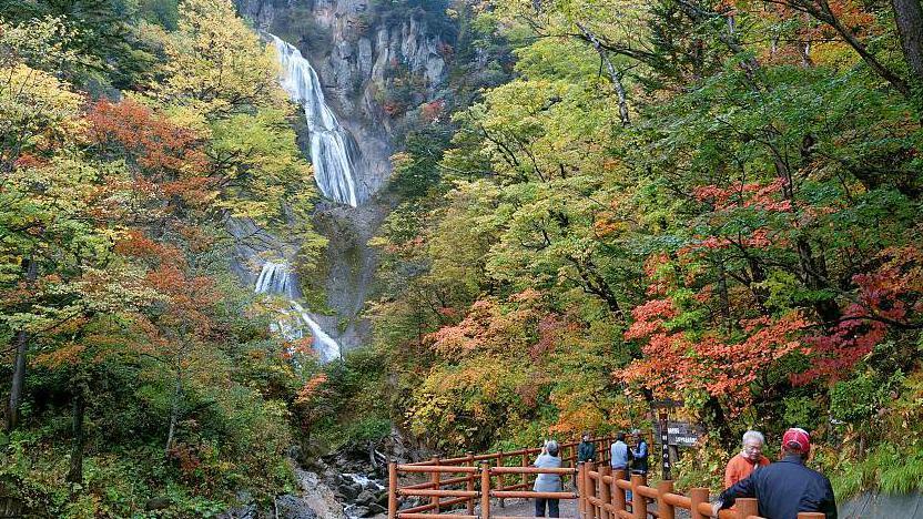 Paket Wisata ke Jepang 5 Hari November 2024 Murah