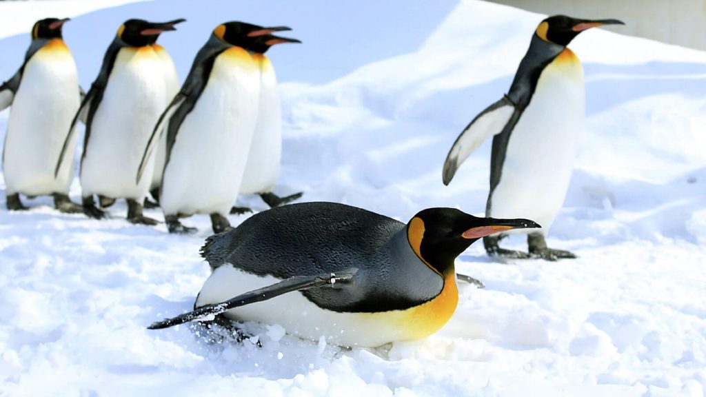 Paket Tour Jepang Februari 2024