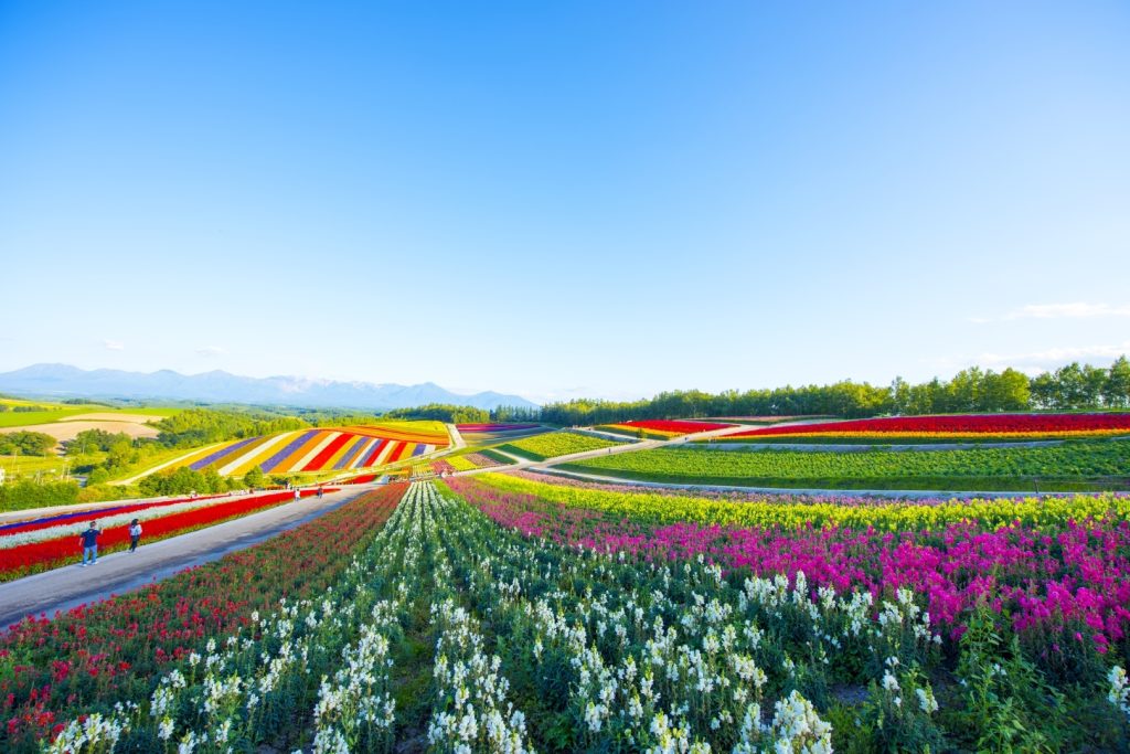 Paket Tour Jepang Februari 2024