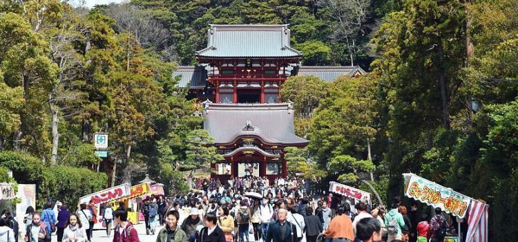 7D Super Sale Golden Route Japan + Shirakawago